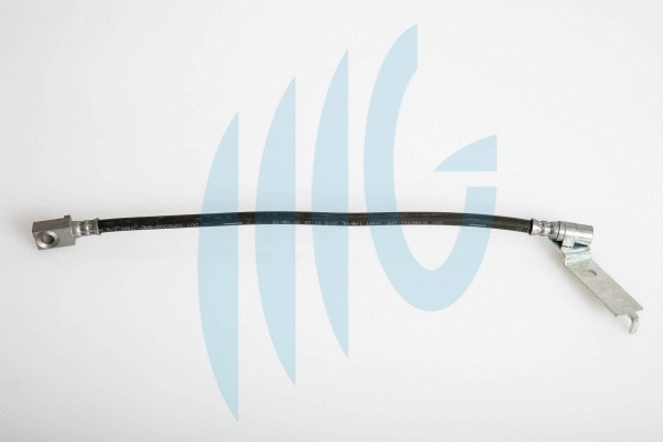 Flexible de frein RICAMBIFLEX GM 02140396