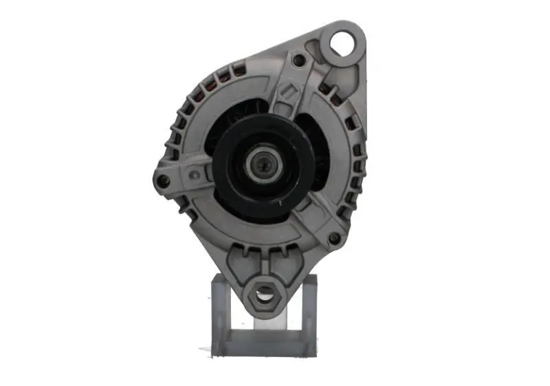 Alternateur BV PSH 505.576.100.265