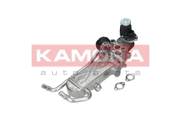 Module-EGR KAMOKA 19072