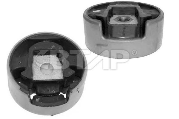 Support moteur BTAP BVE1101-021