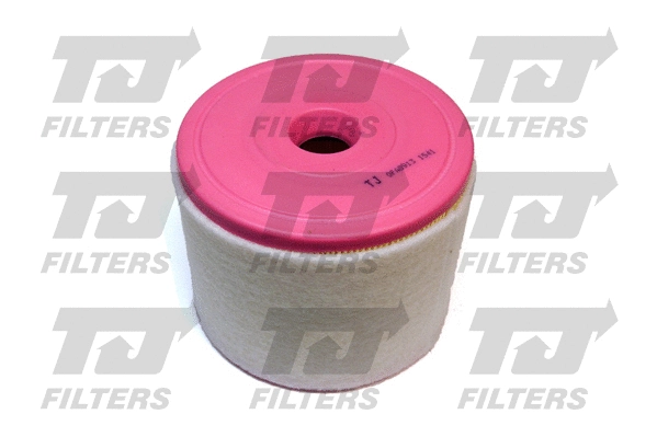 Filtre à air QUINTON HAZELL QFA0913