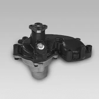 Pompe à eau, refroidissement du moteur GK 985251