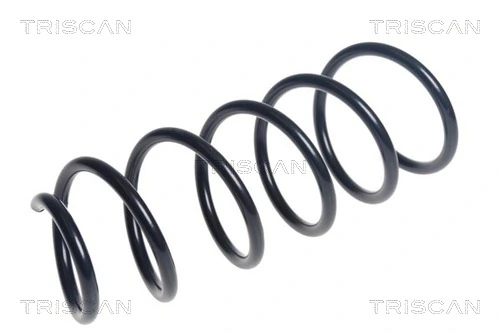 Ressort de suspension TRISCAN 8750 11224