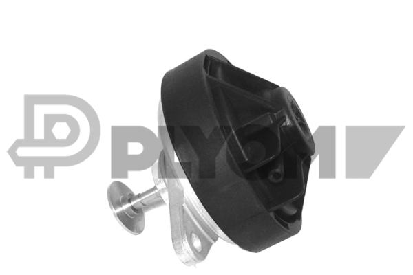 Vanne EGR, commande des gaz d'échappement PLYOM P960022