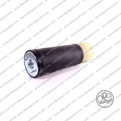 Ressort pneumatique, châssis DIPASPORT SSA02503VBRN