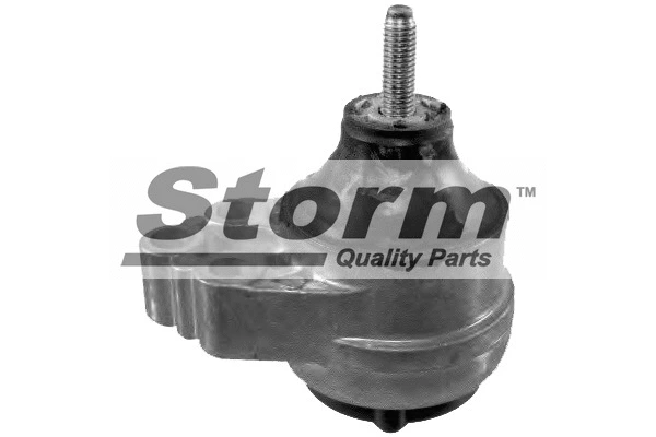 Support moteur STORM QUALITY PARTS F2496