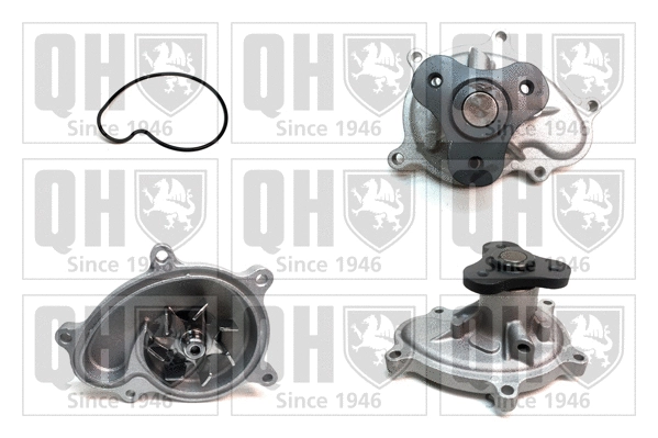 Pompe à eau, refroidissement du moteur QUINTON HAZELL QCP3882