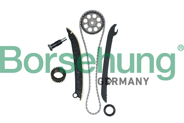 Kit de distribution par chaîne Borsehung B16297