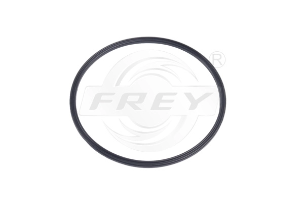 unité d'alimentation de carburant FREY 800518601