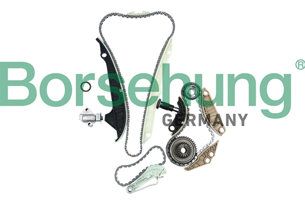 Kit de distribution par chaîne Borsehung B19209