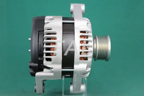 Alternateur FAL Anlasser- und Lichtmaschinenservice F011958/1