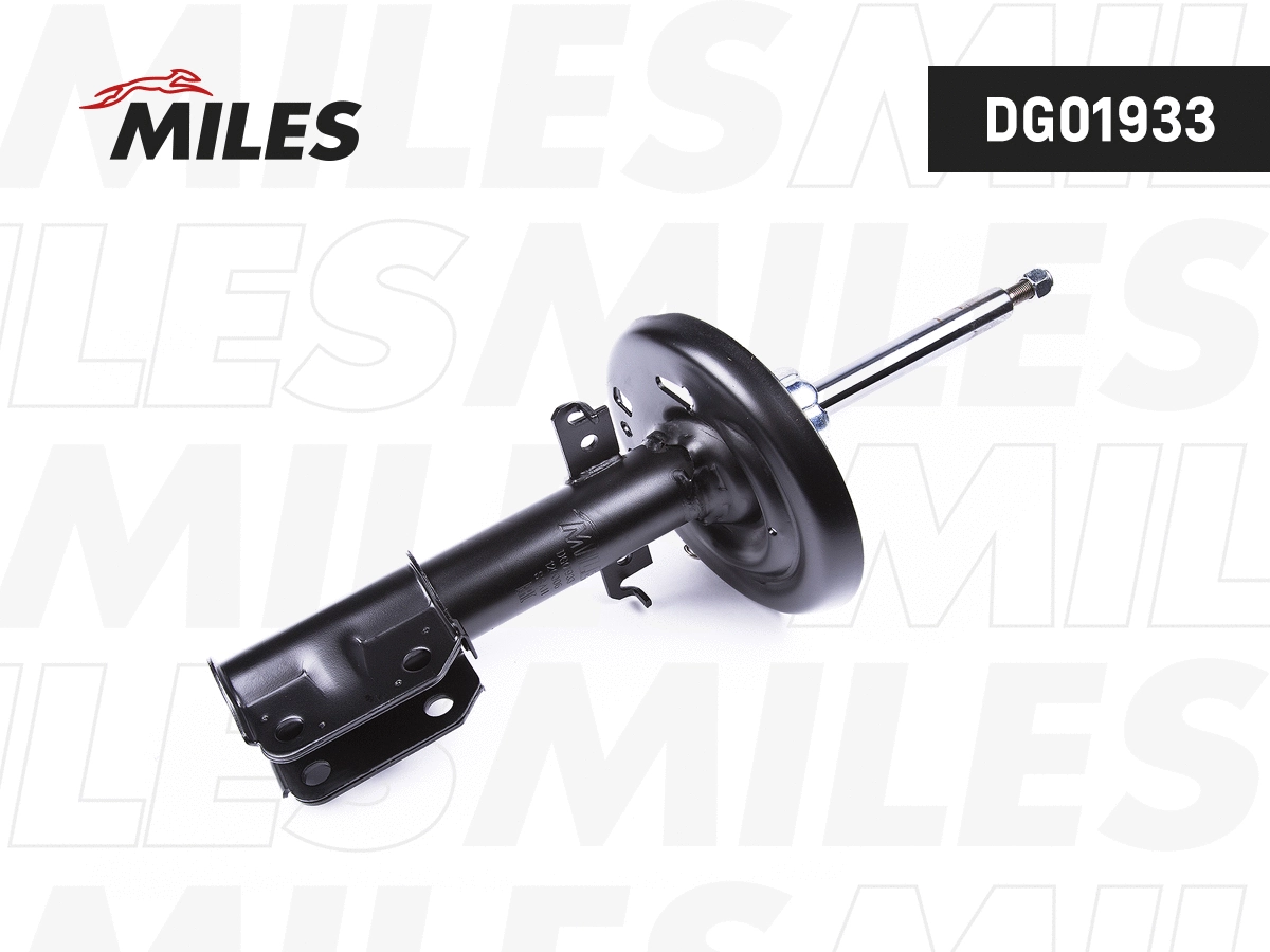 Amortisseur MILES DG01933