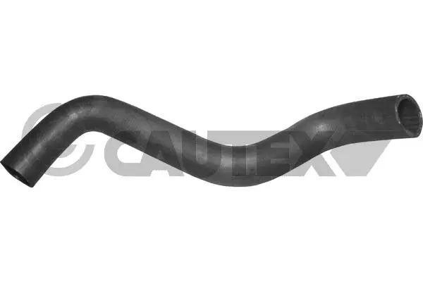 Durite de radiateur CAUTEX 036092