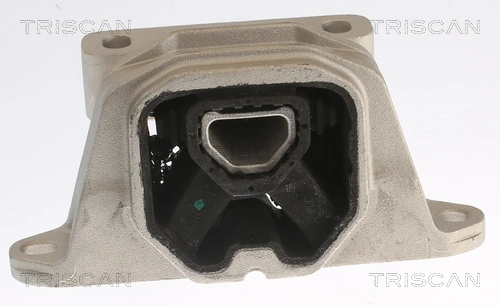 Support moteur TRISCAN 8505 29184