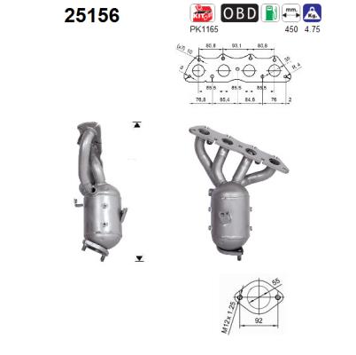 Catalyseur AS 25156
