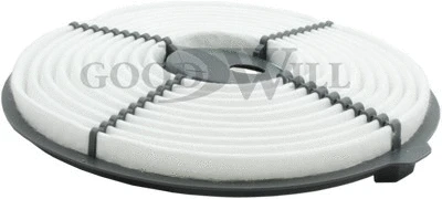 Filtre à air GOODWILL AG 500