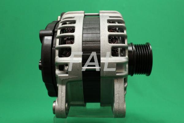 Alternateur FAL Anlasser- und Lichtmaschinenservice F017067/1