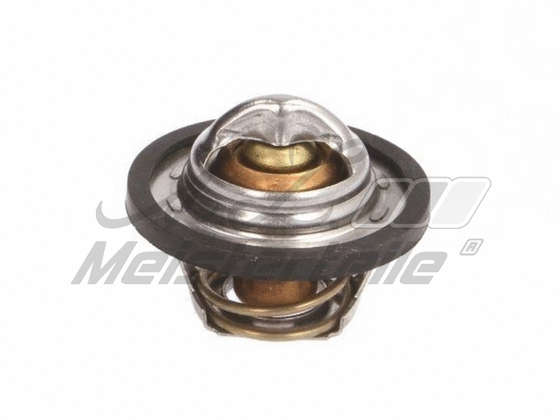 Thermostat, liquide de refroidissement A.Z. Meisterteile AZMT-46-040-2142