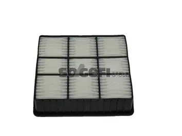 Filtre à air FRAM CA8208
