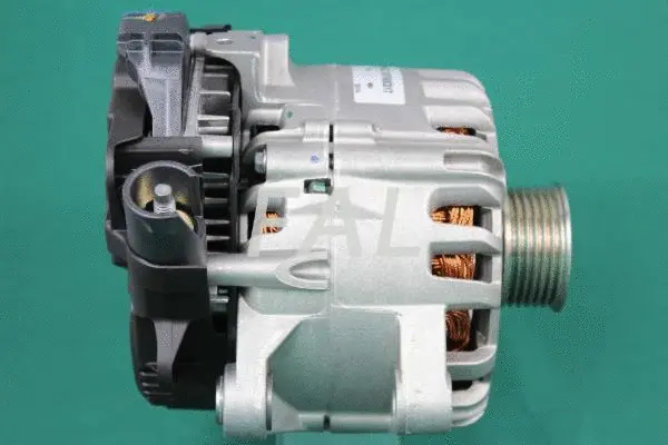 Alternateur FAL Anlasser- und Lichtmaschinenservice F006047/1