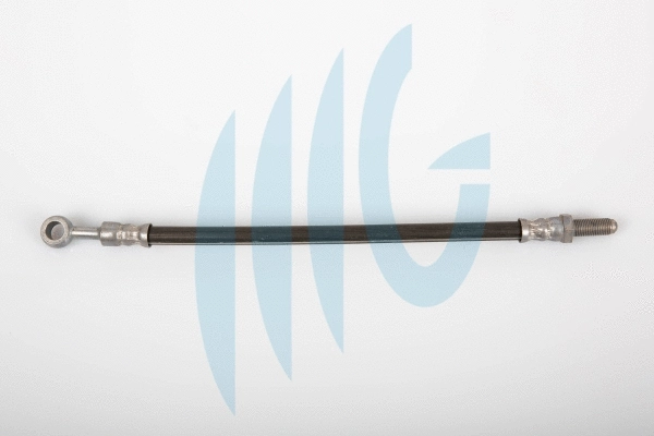 Flexible de frein RICAMBIFLEX GM 02520954