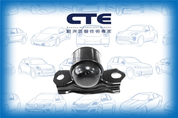 Suspension, bras de liaison CTE CBH06046L
