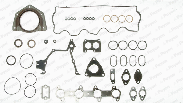 Pochette moteur complète PAYEN GZ790