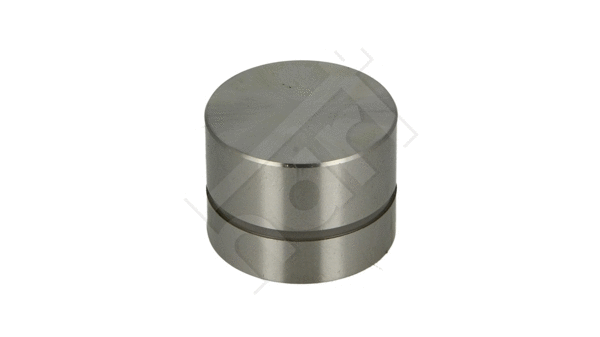 Poussoir de soupape HART 348 342