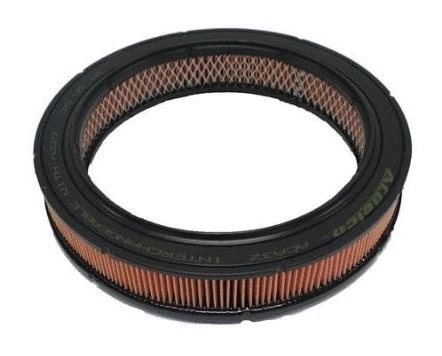 Filtre à air ACDelco Oceania ACA32