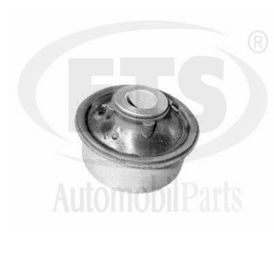 Suspension, bras de liaison ETS 20.SB.801