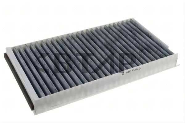 Filtre, air de l'habitacle BTAP BBB131-013