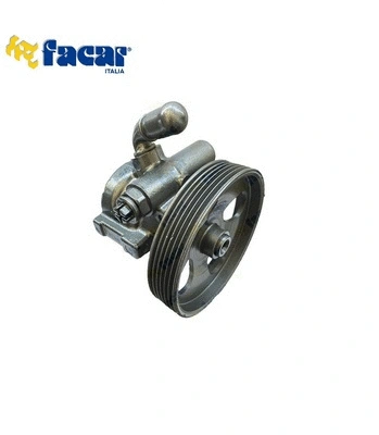 Pompe hydraulique, direction FACAR 806060