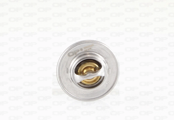 Thermostat, liquide de refroidissement OPEN PARTS TRM1004.00