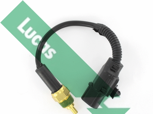 Sonde, température du liquide de refroidissement LUCAS SNB5066
