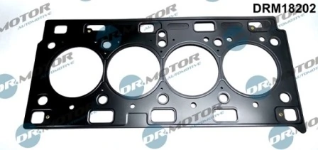 Joint, culasse LIZARTE DRM18202