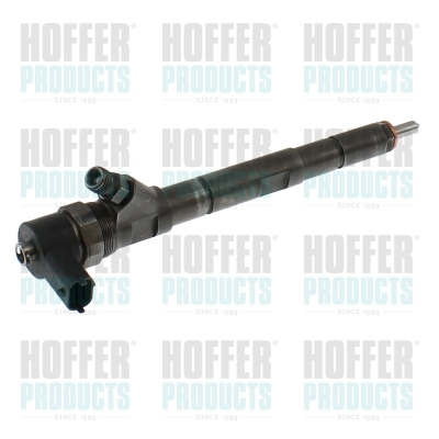 Injecteur HOFFER H74302R