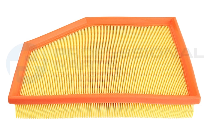 Filtre à air Professional Parts 24438022