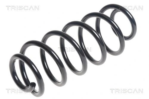 Ressort de suspension TRISCAN 8750 28232