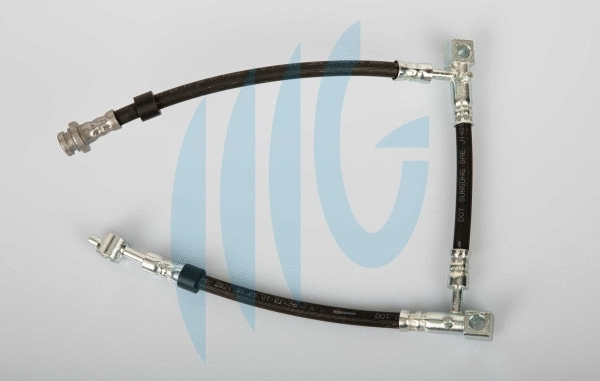 Flexible de frein RICAMBIFLEX GM 02101169