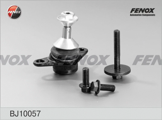 Rotule de suspension FENOX BJ10057