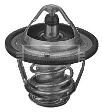Thermostat, liquide de refroidissement BORG & BECK BBT373