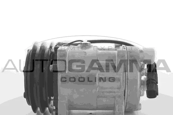 Compresseur, climatisation AUTOGAMMA 118596