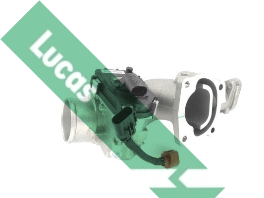 Corps papillon LUCAS LTH471