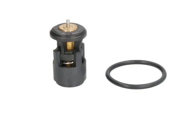 Thermostat, liquide de refroidissement THERMOTEC D2A005TT