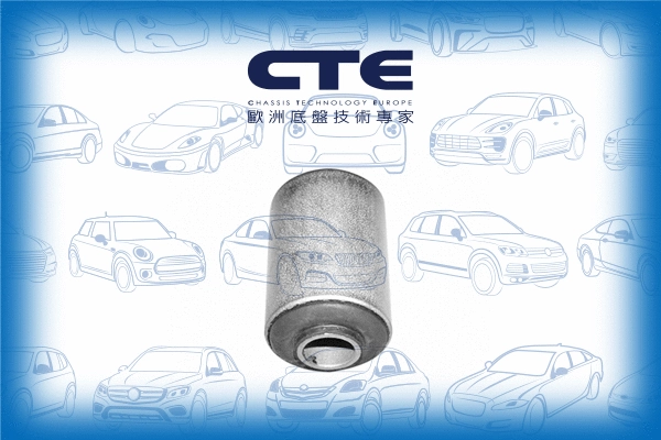 Suspension, bras de liaison CTE CBH06007