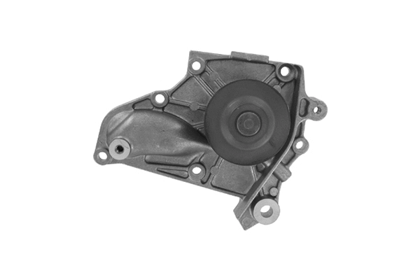 Pompe à eau, refroidissement du moteur SKF Brazil VKPC 91613