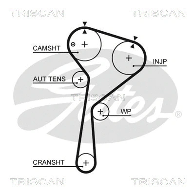 Courroie crantée TRISCAN 8645 5675XS