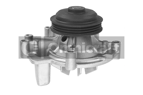 Pompe à eau, refroidissement du moteur Omnicraft 2317403