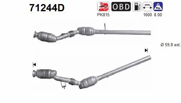 Catalyseur AS 71244D