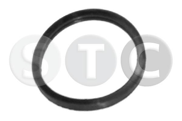 Joint, thermostat STC T402351